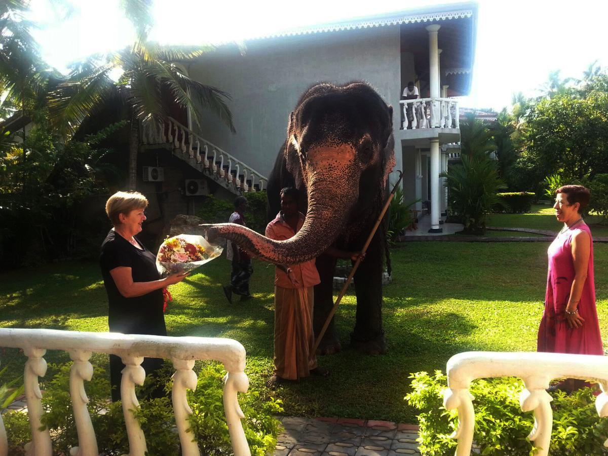 Bougain Villa Bentota Kültér fotó