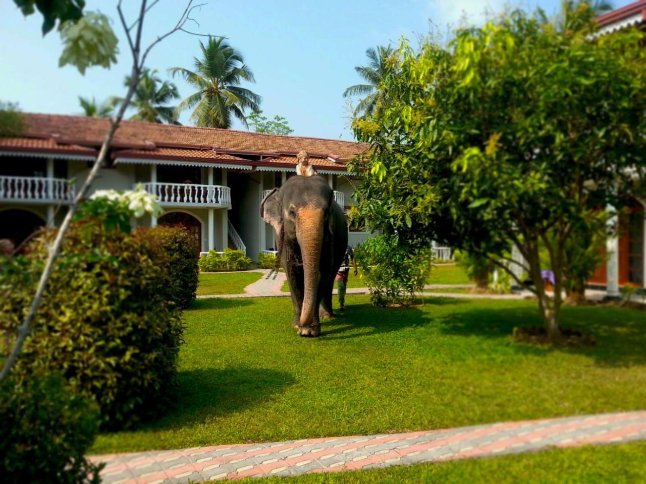 Bougain Villa Bentota Kültér fotó